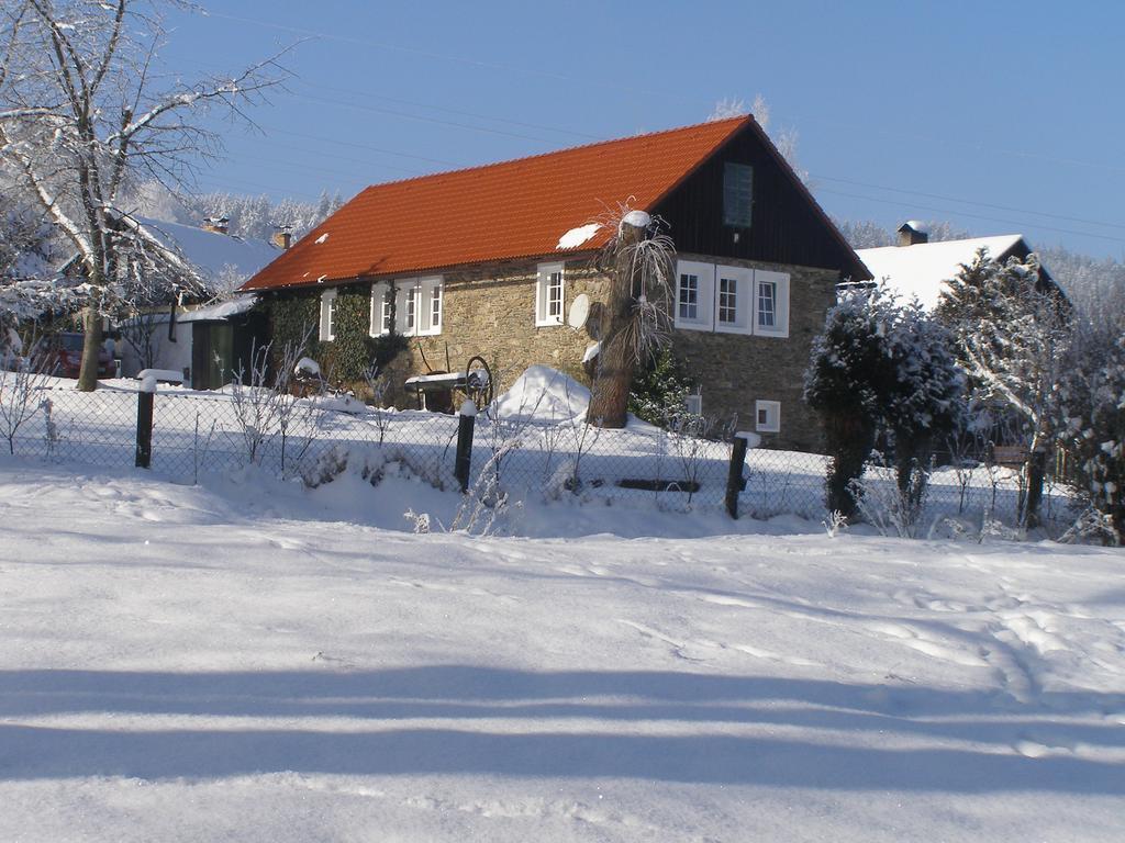 Apartman Dvorecna Loucovice Exterior photo